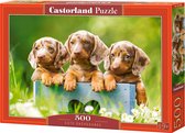 Castorland Cute Dachshunds - 500pcs