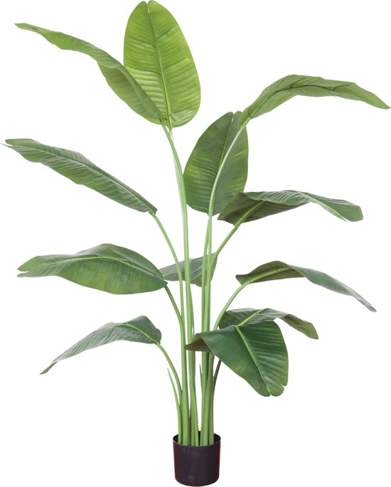 Bananier artificiel 150 cm | Bananier Plante artificielle | Plantes  artificielles pour... | bol.com