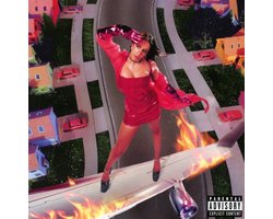 I Used to Think I Could Fly