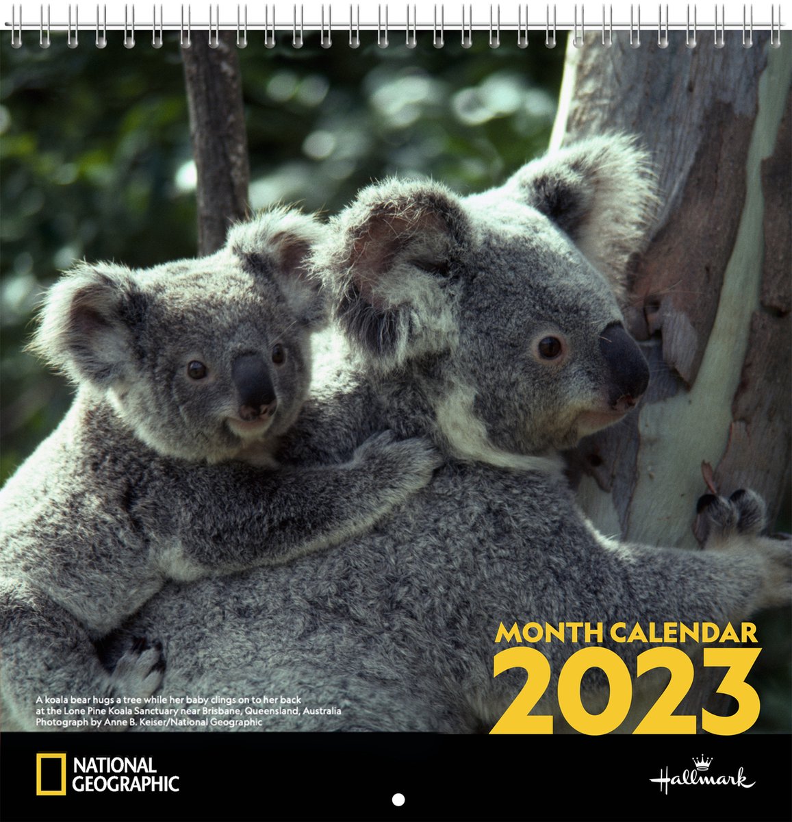 National Geographic Dieren Kalender 2023