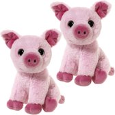 Set van 2x stuks roze pluche varken knuffeltjes van 14 cm - speelgoed varkens