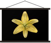 Posterhanger incl. Poster 90x60 cm - Schoolplaat - Een gele leliebloem over zwarte achtergrond - Textielposter - Zwarte latten