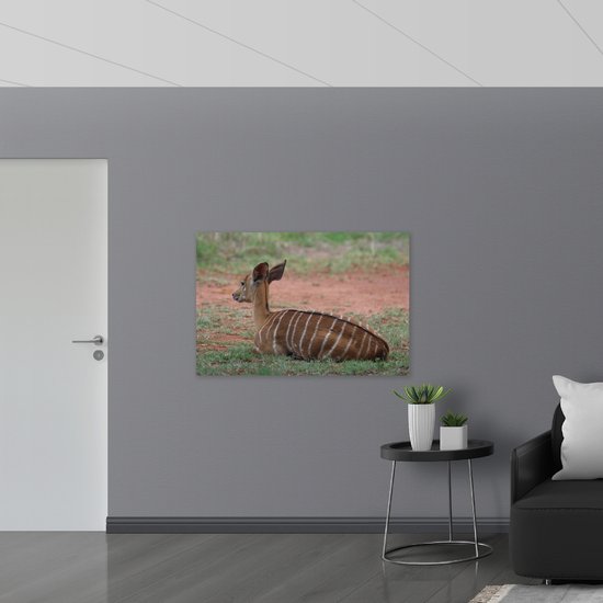 WallClassics - Poster (Matte) - Cerf au repos - Photo 120x80 cm sur papier poster mat
