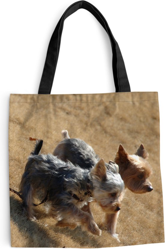 MuchoWow® Sac bandoulière - Sac de plage - Big Shopper - Sac shopping - Deux petits Yorkshire Terriers marchant sur la plage - 45x45 cm - Sac en coton
