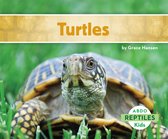 Reptiles -  Turtles