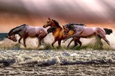 Diamond Painting pakket volwassenen | Paarden in de branding - 80 x 120 cm | Volledige bedekking met vierkante steentjes | FULL | DP Diamond Paintings