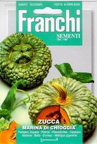 Franchi - Zucca marina di Chioggia - Pompoen /squash groen