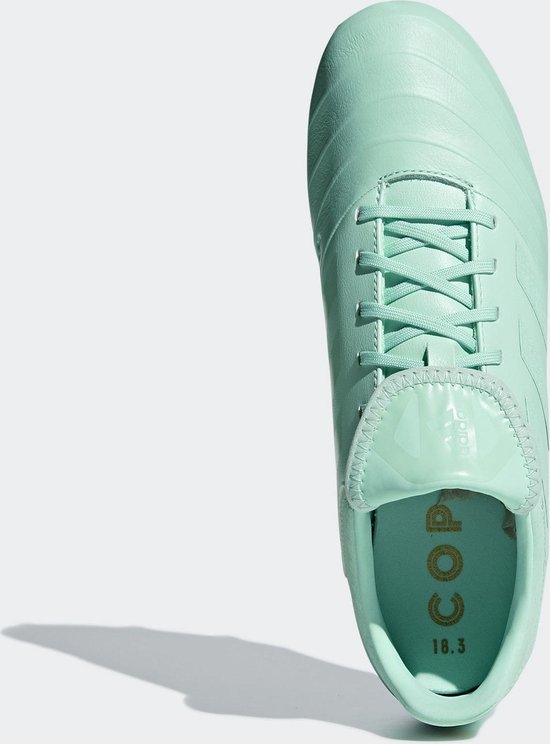 adidas f 18