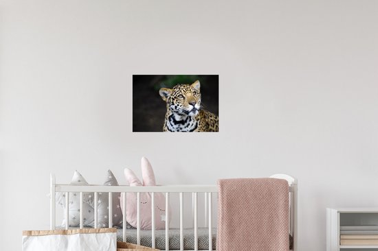 Stickers muraux - Léopard - Tête - Forêt - 30x20 cm - Film Adhésif