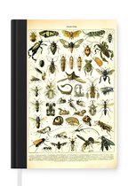 Notitieboek - Schrijfboek - Insecten - Dieren - Vintage - Notitieboekje klein - A5 formaat - Schrijfblok
