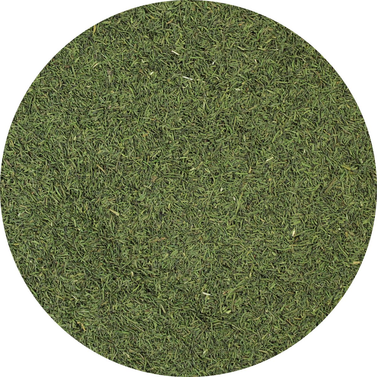 Goedkoopste Van Beekum Specerijen - Dilletoppen - 10 KG - Zak (bulk verpakking