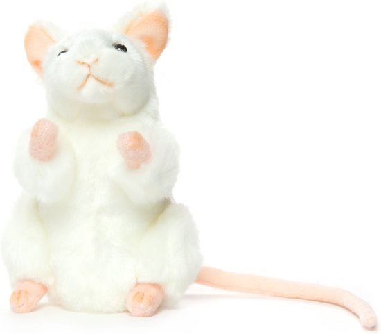 Hansa Muis