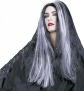 Halloween Heksenpruik met lang grijs/zwart haar