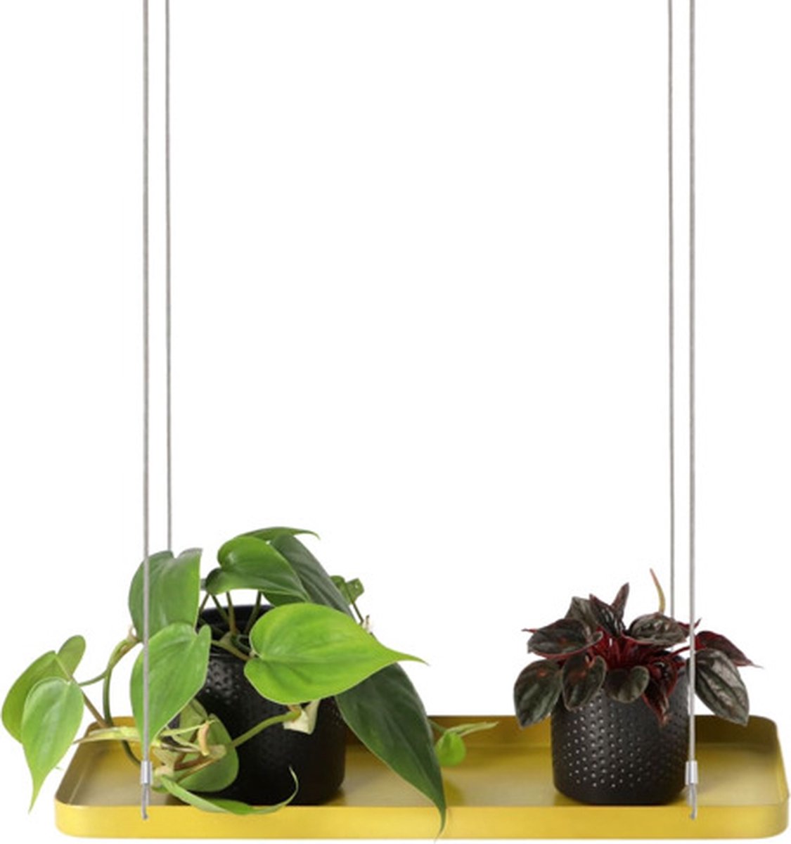 Plantenplateau Hanger Rechthoekig Goud S Bol plantenplateau-hanger-rechthoekig-goud-s-bol