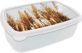 Broodtrommel Wit - Lunchbox - Brooddoos - Pampasgras - Zon - Gras - 18x12x6 cm - Volwassenen
