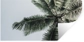 Stickers muraux - Palmier - Tropical - Été - 80x40 cm - Feuille adhésive