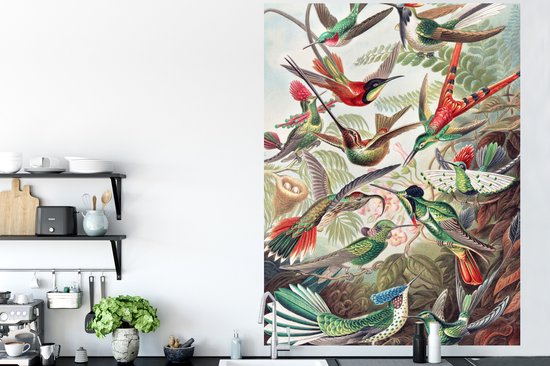 Stickers muraux - Feuille Autocollant - Colibri - Vintage - Ernst Haeckel - Vogel - Art - Nature - 120x160 cm - Feuille Adhésive - Stickers muraux Chambre Enfant - Papier Peint Auto Adhésif XXL