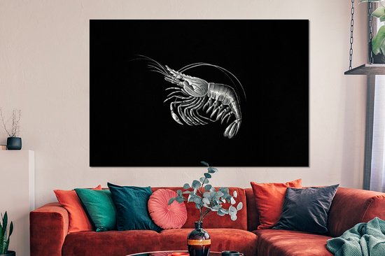 Décoration murale Métal - Peinture Aluminium Industriel - Crevettes - Vintage - Ernst Haeckel - Animaux - Art - 150x100 cm - Dibond - Photo sur aluminium - Décoration murale industrielle - Pour le salon/chambre