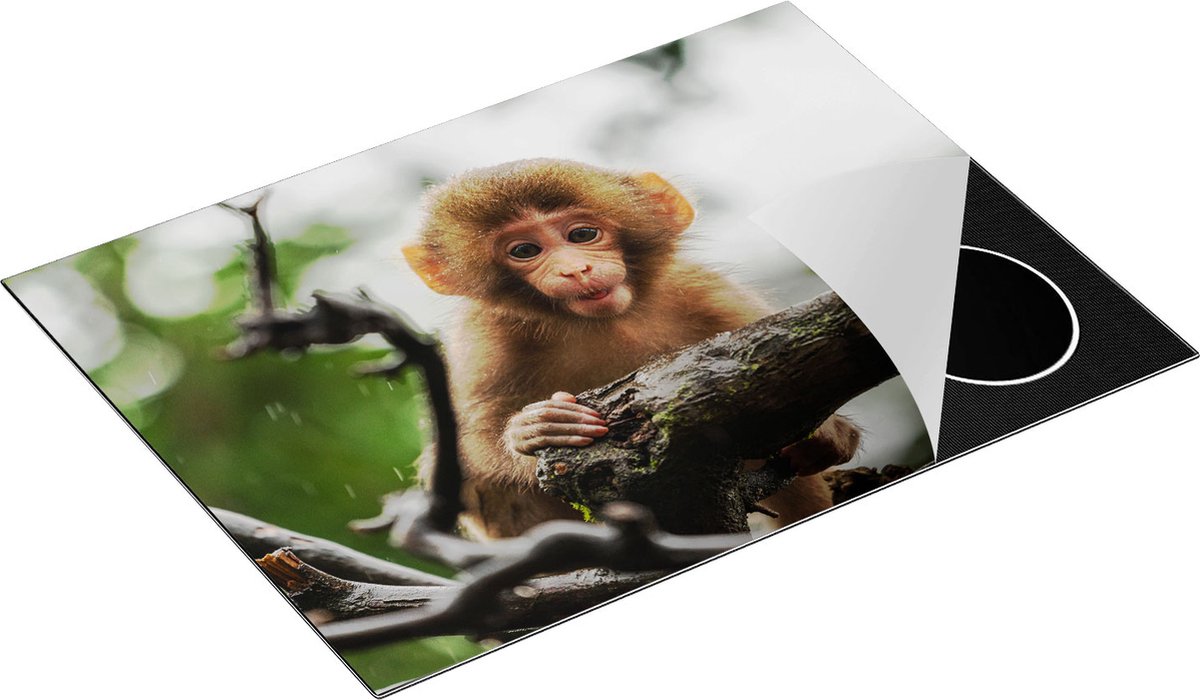 Chefcare Inductie Beschermer Klein Baby Aapje op een Tak - 70x50 cm - Afdekplaat Inductie - Kookplaat Beschermer - Inductie Mat