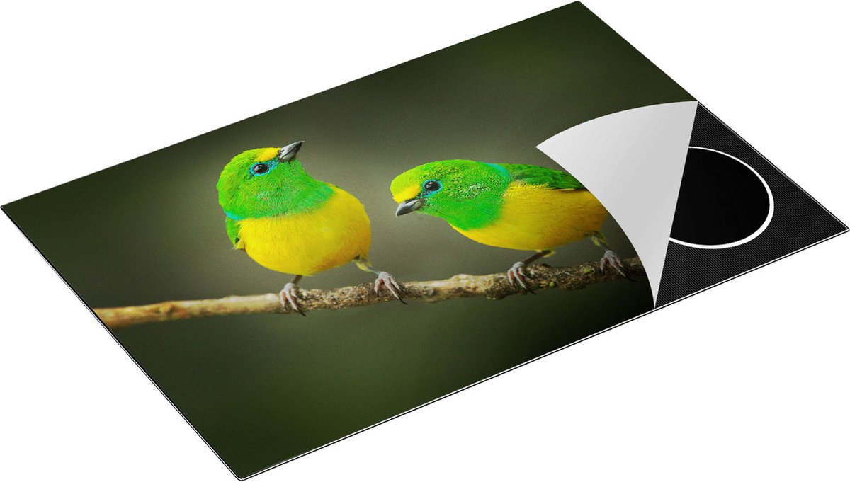 Chefcare Inductie Beschermer Twee Groen Gele Zangvogels op een Tak - 81x52 cm - Afdekplaat Inductie - Kookplaat Beschermer - Inductie Mat