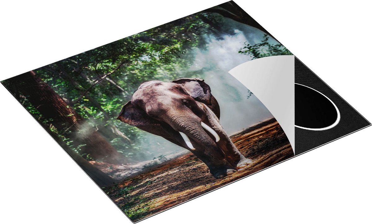 Chefcare Inductie Beschermer Olifant in het Bos - 60x55 cm - Afdekplaat Inductie - Kookplaat Beschermer - Inductie Mat