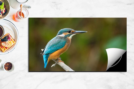 Chefcare Inductie Beschermer Blauwe IJsvogel op een Tak - 95x50 cm - Afdekplaat Inductie - Kookplaat Beschermer - Inductie Mat