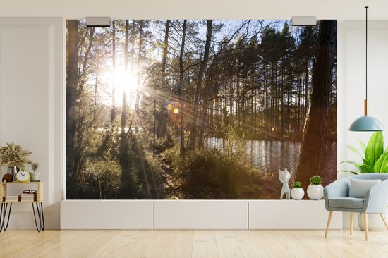 Papier peint photo vinyle - Les rayons du soleil brillent entre les arbres du parc national de Nuuksio en Finlande largeur 360 cm x hauteur 240 cm - Tirage photo sur papier peint (disponible en 7 tailles)