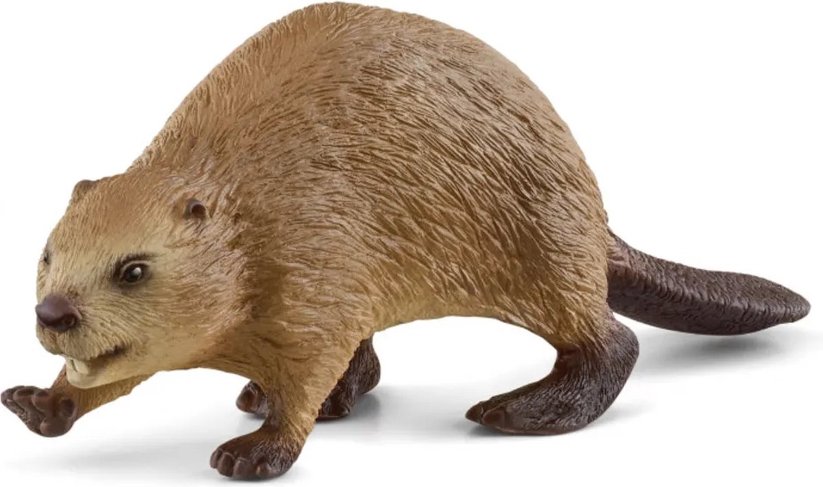 schleich WILD LIFE - Bever - 14855 — afbeelding 6