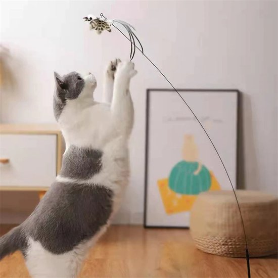 Generico Interactief speelgoed voor katten, grappig spel met