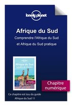 Guide de voyage - Afrique du Sud 11ed - Comprendre l'Afrique du Sud et Afrique du Sud pratique