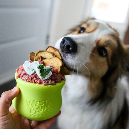 Een hond kijkt naar een groen Zogoflex speeltje, gevuld met vlees en gedroogde appelhartjes.