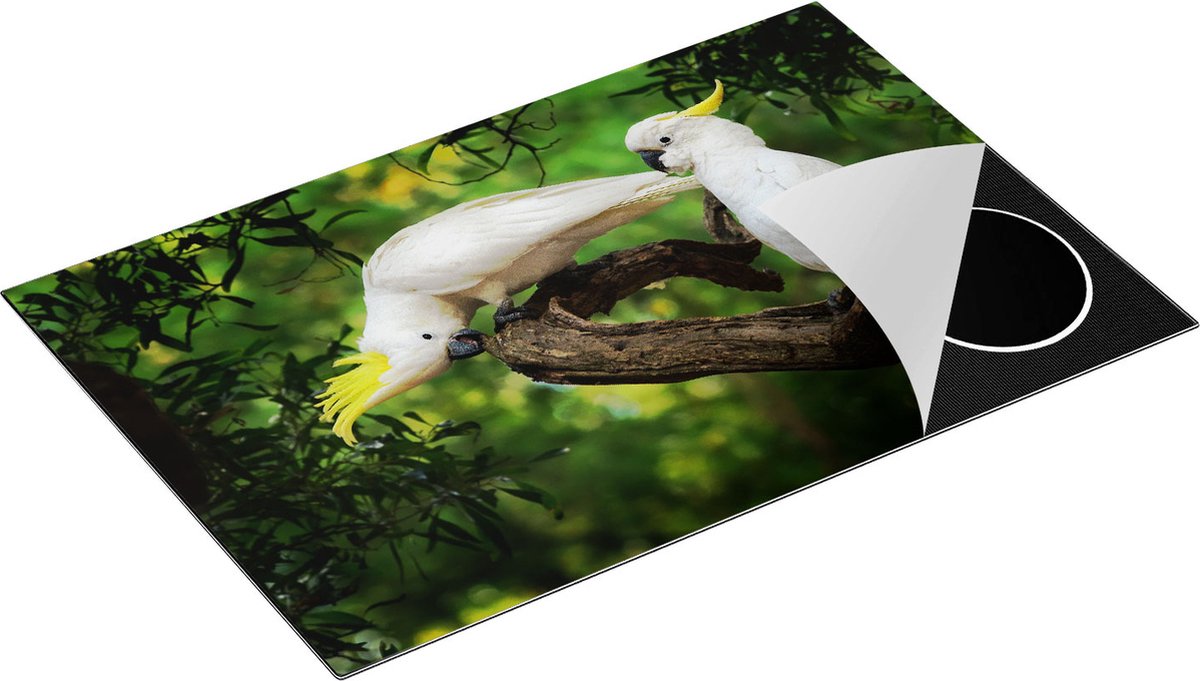 Chefcare Inductie Beschermer Twee Witte Kaketoes in de Bomen - 80,2x52,2 cm - Afdekplaat Inductie - Kookplaat Beschermer - Inductie Mat