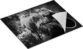 Chefcare Inductie Beschermer Twee Groene Quetzal Vogels op een Tak - Zwart Wit - 65x52 cm - Afdekplaat Inductie - Kookplaat Beschermer - Inductie Mat