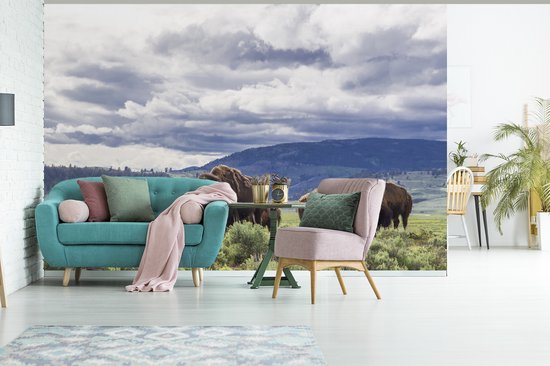 Papier peint photo vinyle - Groupe de bisons dans une prairie du Wyoming largeur 390 cm x hauteur 260 cm - Tirage photo sur papier peint (disponible en 7 tailles)