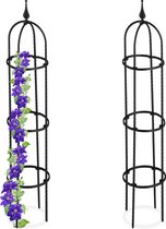 plantensteun klimplanten - set van 2 - 100 cm - metaal - kunststof - tuin - zwart