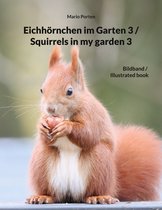 Eichhörnchen im Garten / Squirrels in my garden 3 - Eichhörnchen im Garten 3 / Squirrels in my garden 3