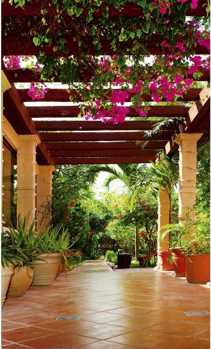 Fotobehang - Terrace 375x250cm - Vliesbehang
