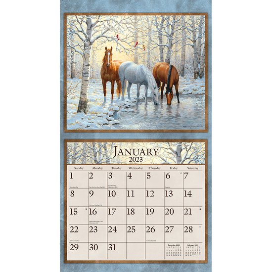 Horses in the Mist 2023 Wall Calendar, Lang 9781469423883 Boeken