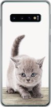 Geschikt voor Samsung Galaxy S10 hoesje - Kitten - Kat - Huisdieren - Jongens - Kinderen - Meisjes - Siliconen Telefoonhoesje