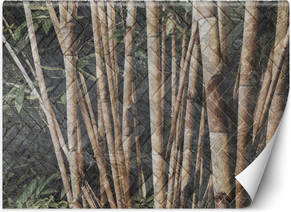 Trend24 - Behang - Bamboo Forest - Vliesbehang - Behang Woonkamer - Fotobehang - 368x254x2 cm - Incl. behanglijm