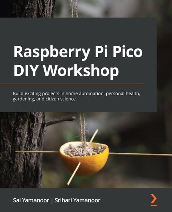 Raspberry Pi Pico DIY Workshop - cover