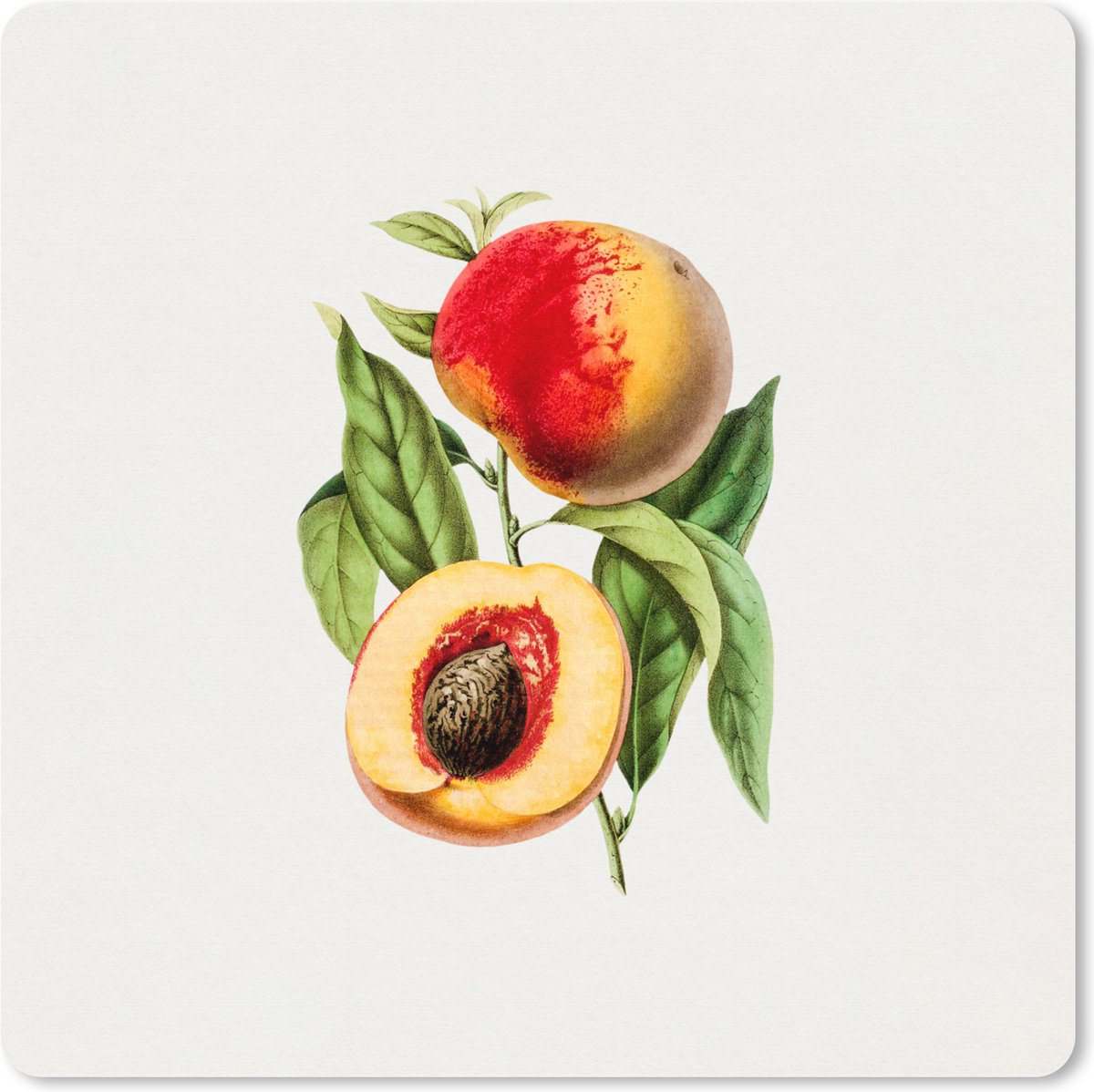 Muismat XXL 60x60 cm - Bureau onderlegger - Bureau mat Perzik - Fruit - Bladeren - Bureaumat - Gaming mousepad xl - Bureaulegger groot - Computer deskmat