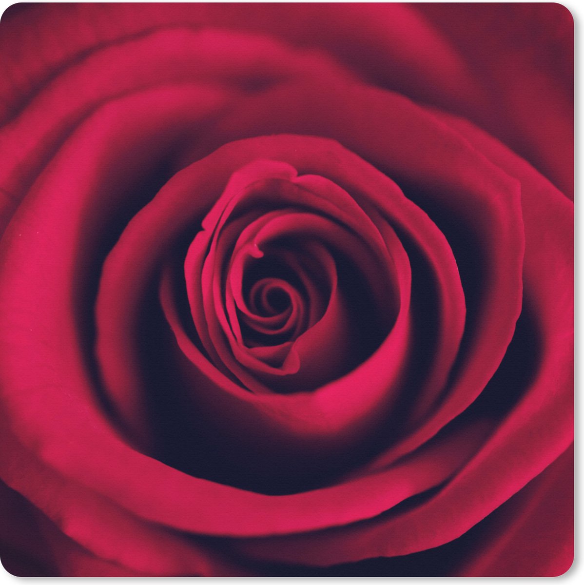 Muismat XXL 50x50 cm - Bureau onderlegger - Bureau mat Rozen - Rood - Bloemen - Bureaumat - Gaming mousepad xl - Bureaulegger groot - Computer deskmat
