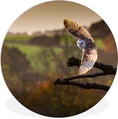 Assiette en plastique de cercle de hibou volant - ⌀ 150 cm - peinture ronde - impression photo sur cercle mural en plastique (forex) / cercle vivant / (décoration murale)