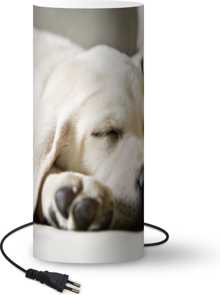 Lamp - Nachtlampje - Tafellamp slaapkamer - Labrador slaapt op de bank - 33 cm hoog - Ø14.3 cm - Inclusief LED lamp