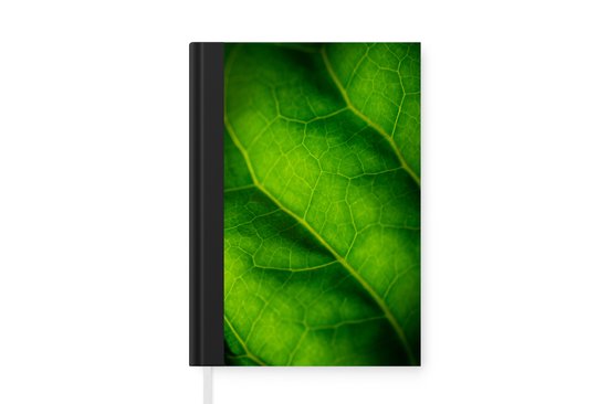 Carnet - Carnet d'écriture - Couleurs vertes d'une feuille botanique - Carnet - Format A5 - Bloc-notes