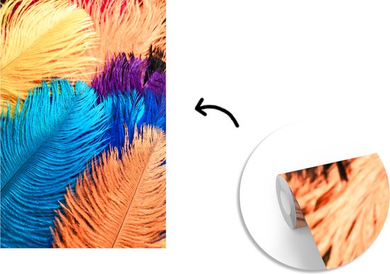 Papier peint photo peint photo vinyle - Structures de plumes colorées largeur 160 cm x hauteur 240 cm - Tirage photo sur papier peint (disponible en 7 tailles)