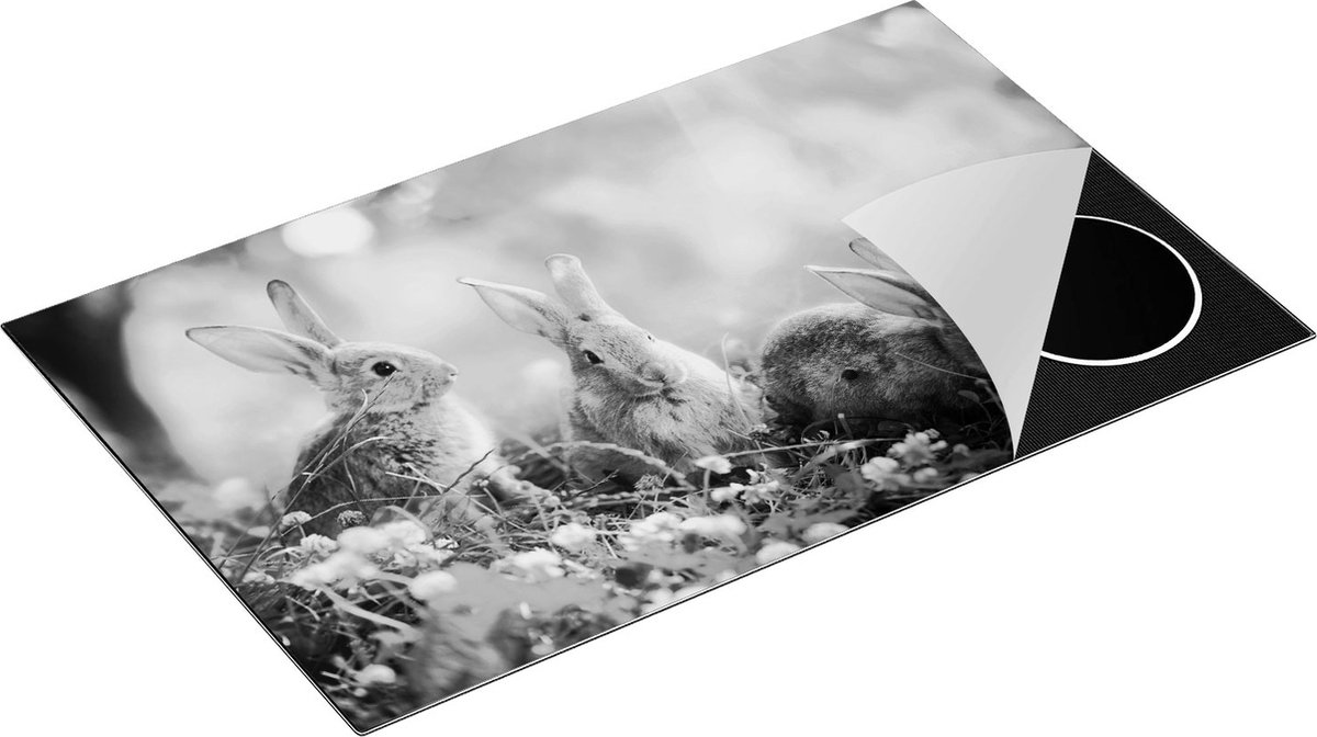 Chefcare Inductie Beschermer Drie Konijnen op het Gras bij Zonneschijn - Zwart Wit - 85x52 cm - Afdekplaat Inductie - Kookplaat Beschermer - Inductie Mat