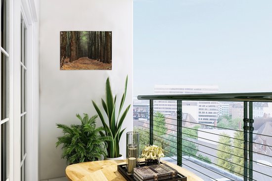 Affiche jardin - Automne - Forêt - Arbres - 40x30 cm - Décoration jardin - Affiche clôture - Toile jardin - Affiche extérieur