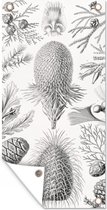 Tuinposter - Kunst - Schuttingposter - Ernst Haeckel - Tuin - 30x60 cm - Tuindecoratie - Muurdecoratie - Tuindoek - Buitenposter